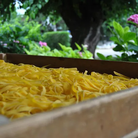 Gelmini Hotel Verona