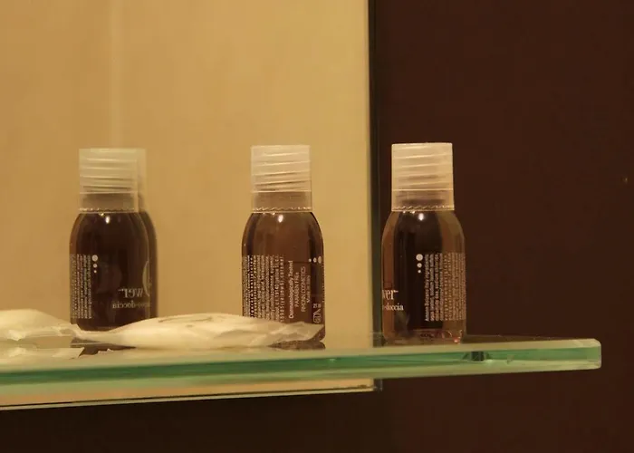 吉尔米妮酒店 2* 维罗纳