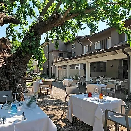 Gelmini