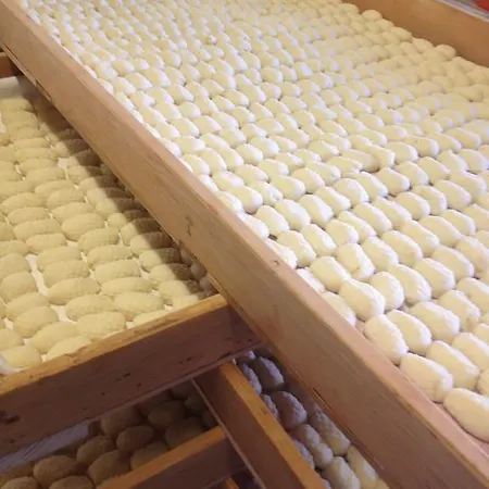 מלון Gelmini ורונה