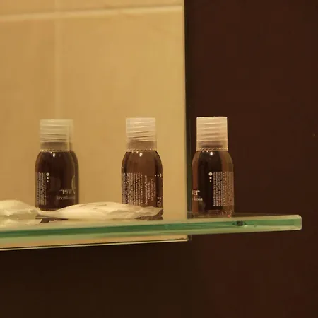 吉尔米妮酒店 2* 维罗纳