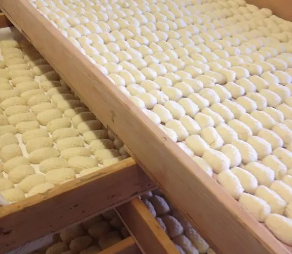 Hotel Gelmini Verona